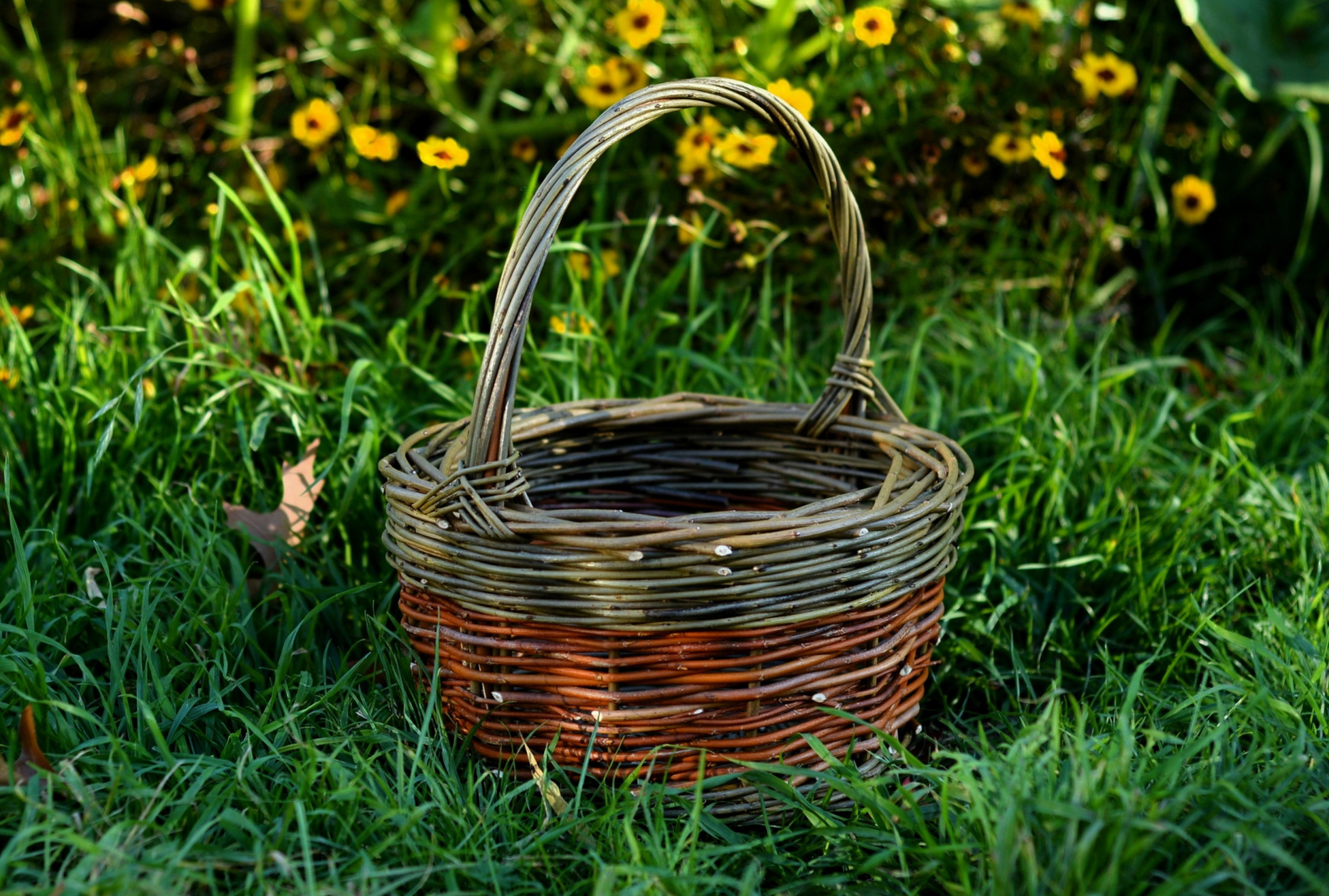 Basket Weaving for Beginners - Make A Round Willow Basket