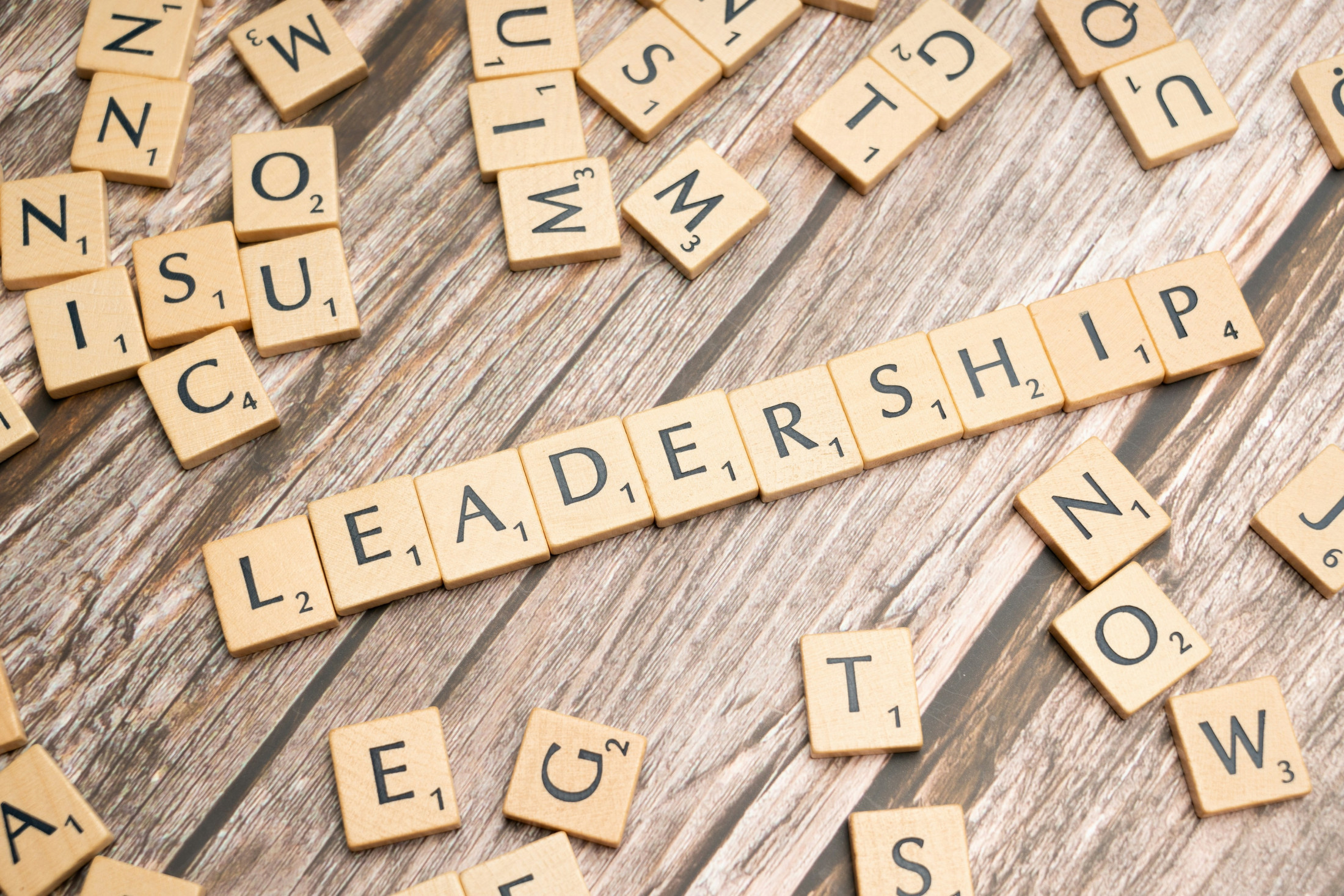 Leadership - An Introduction